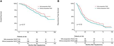 Guiding Value of Circulating Tumor Cells for Preoperative Transcatheter Arterial Embolization in Solitary Large Hepatocellular Carcinoma: A Single-Center Retrospective Clinical Study